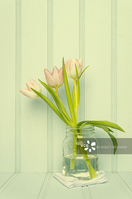 春天花的静物图像与Instagram交叉处理滤镜应用图片素材