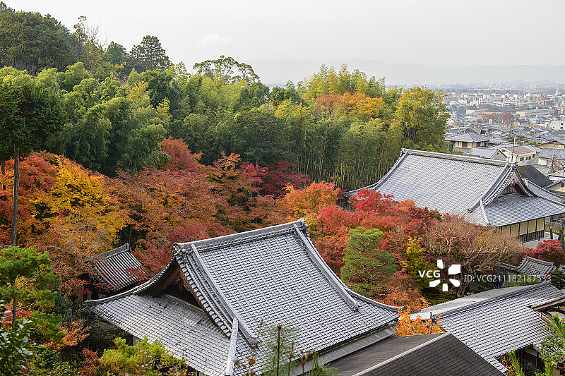 日本京都枫叶季节图片素材
