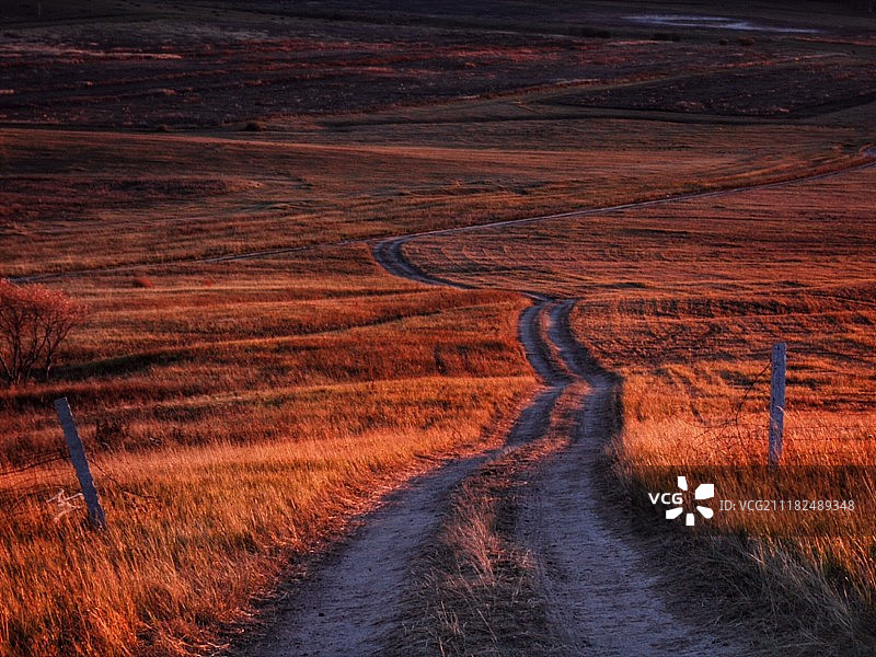 内蒙古赤峰市乌兰布统草原上的道路图片素材
