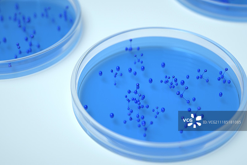 3D细菌培养皿图片素材