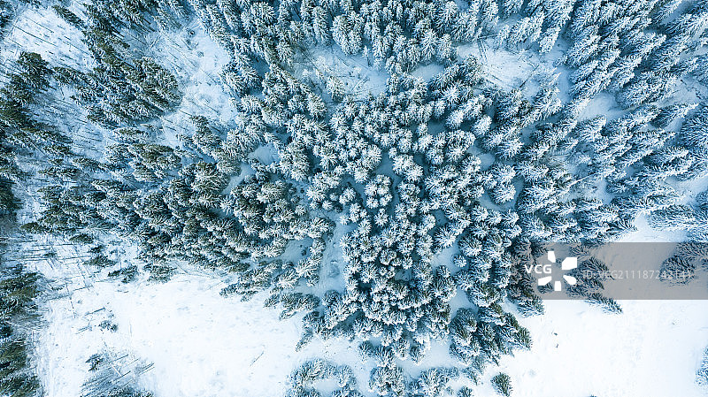 鸟瞰图的森林在冬天图片素材