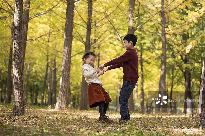 两个小孩在秋天的树林里嬉戏图片素材