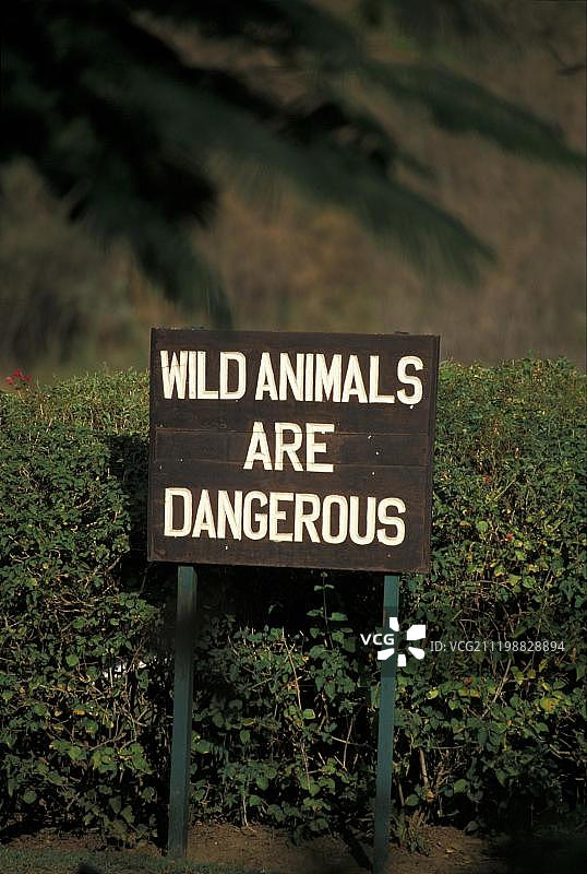 野生动物是危险的图片素材
