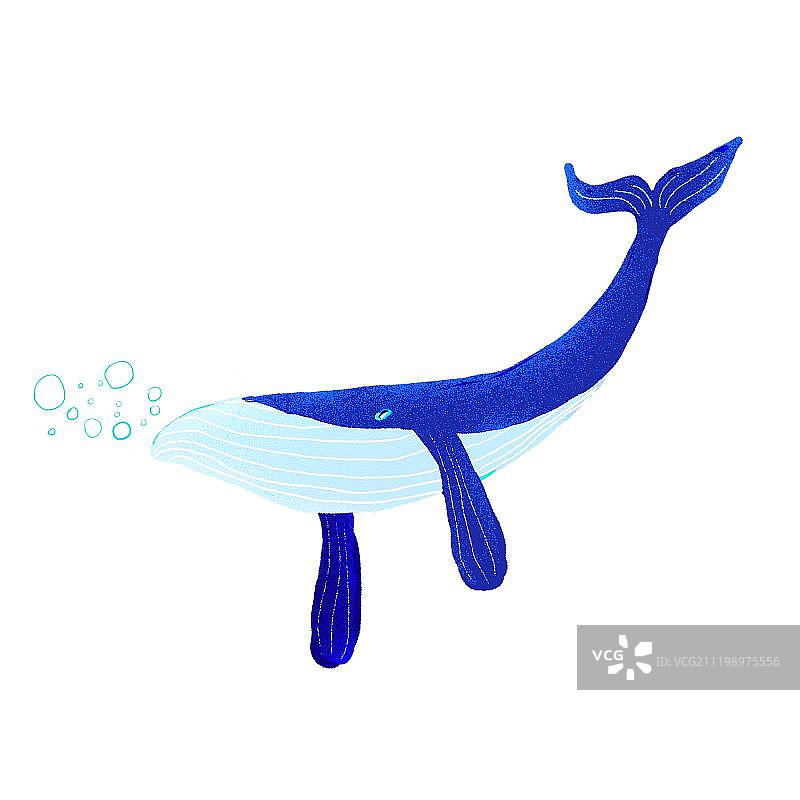蓝色的鲸鱼图片素材