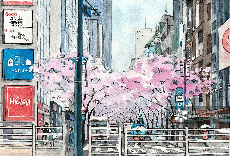 三月樱花季图片素材