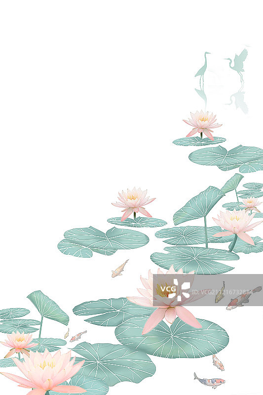 夏天端午节的荷花在锦鲤池塘里绽放中国风工笔画海报背景插画图片素材