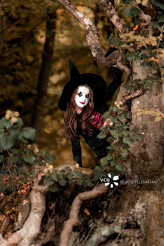 穿着女巫服装坐在树上的少女图片素材