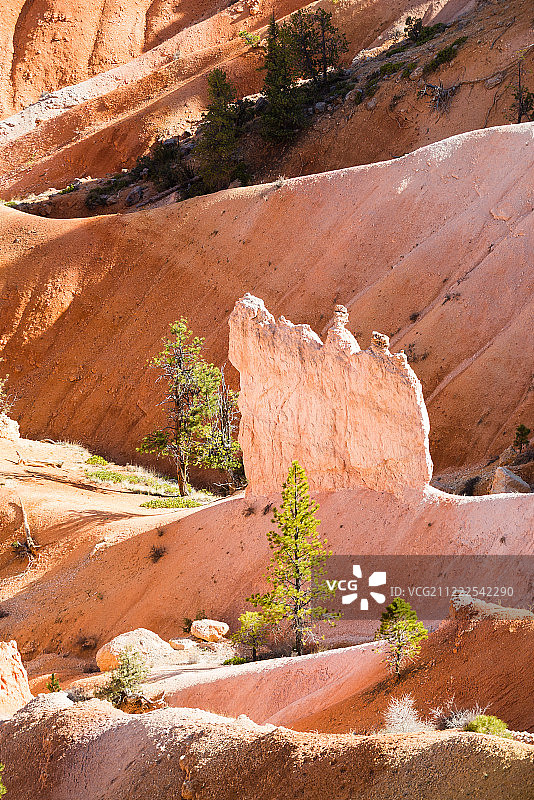 布莱斯峡谷国家公园岩石的近距离拍摄图片素材