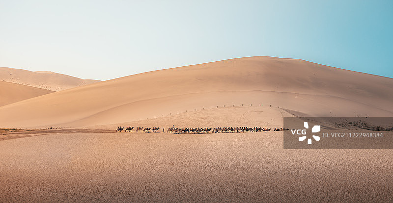 敦煌月牙泉鸣沙山沙漠中的骆驼图片素材
