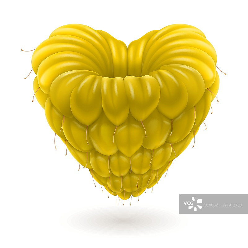黄树莓的心。图片素材