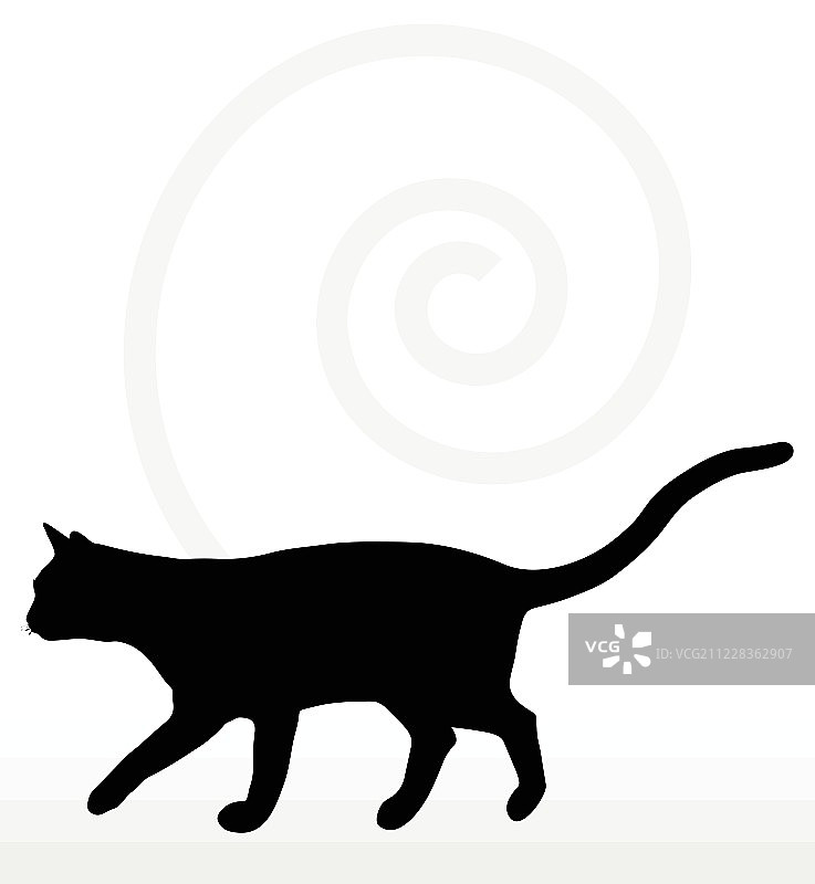 猫的侧影在走路姿势图片素材