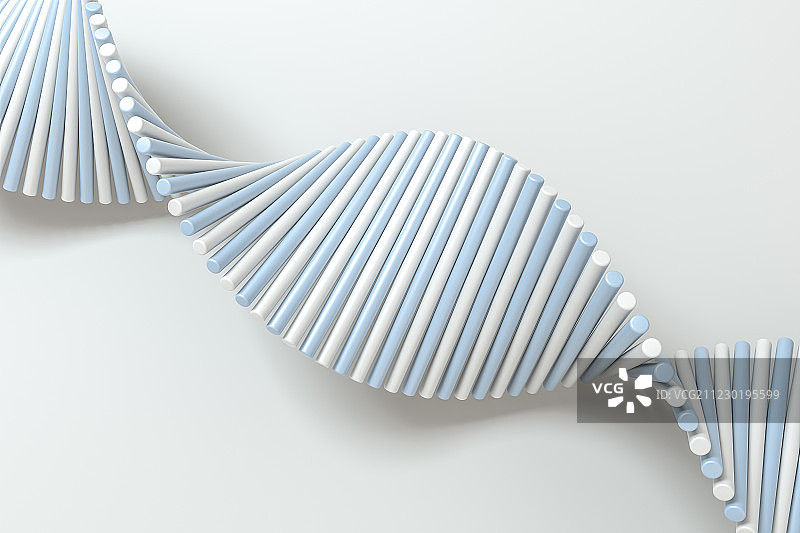 蓝白相间的螺旋状DNA与白色背景，三维渲染图片素材