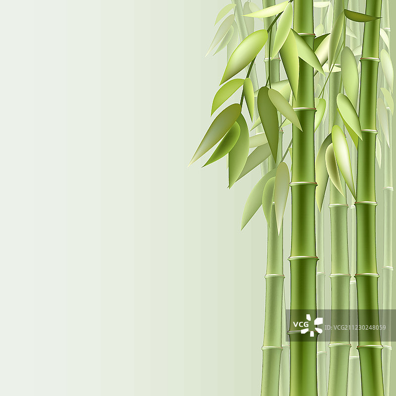 竹子的背景图片素材