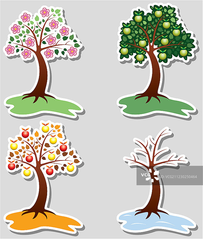 苹果树在四个季节图片素材