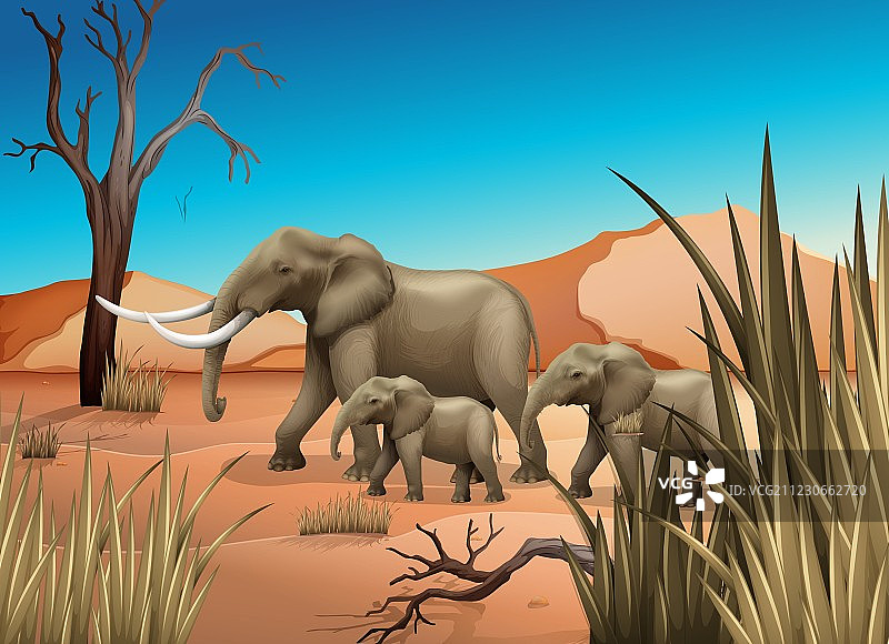 沙漠中的大象图片素材