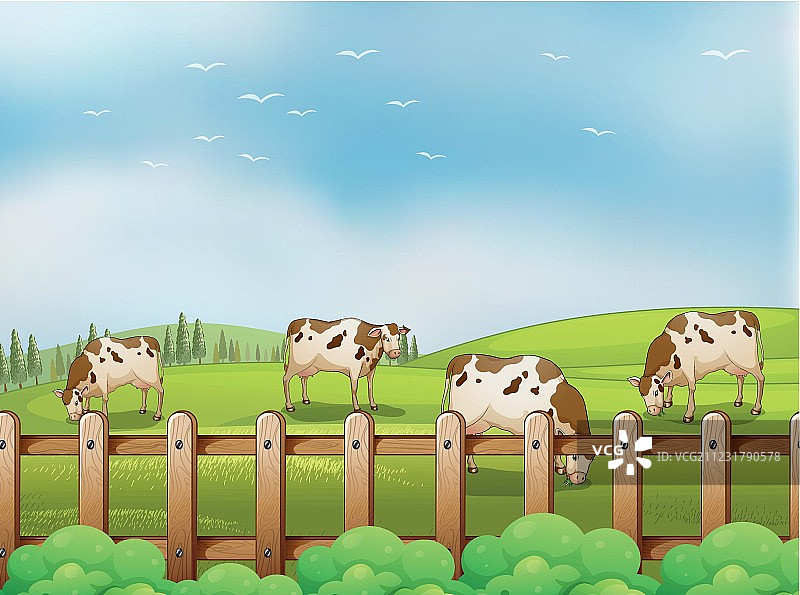 有奶牛的农场图片素材