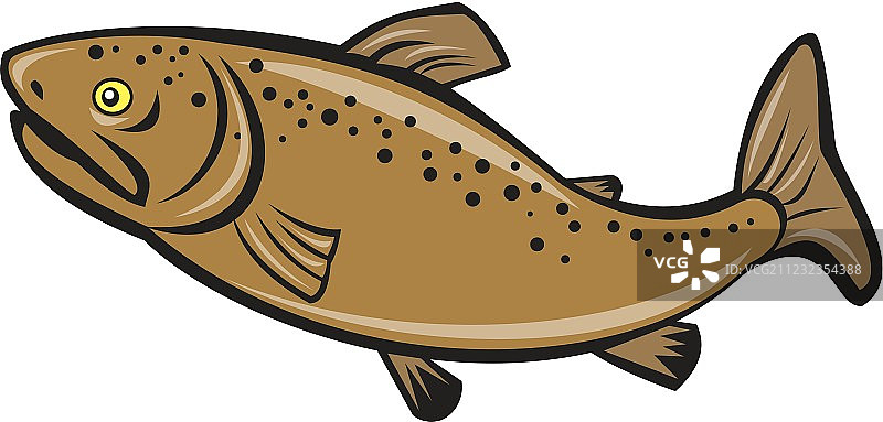 棕色鳟鱼侧卡通图片素材