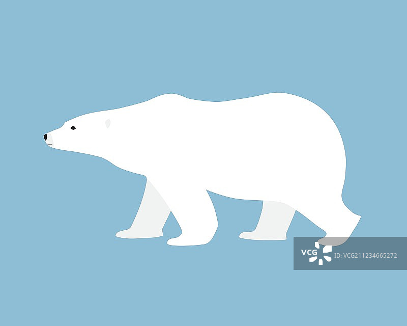 北极熊手绘平风格图片素材