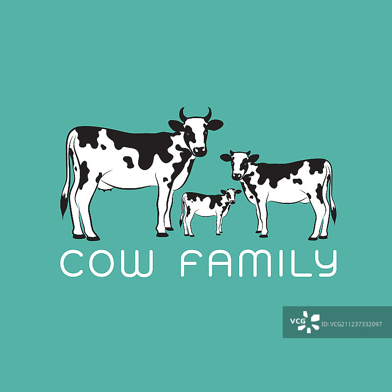 奶牛家族在蓝色背景下容易饲养动物图片素材