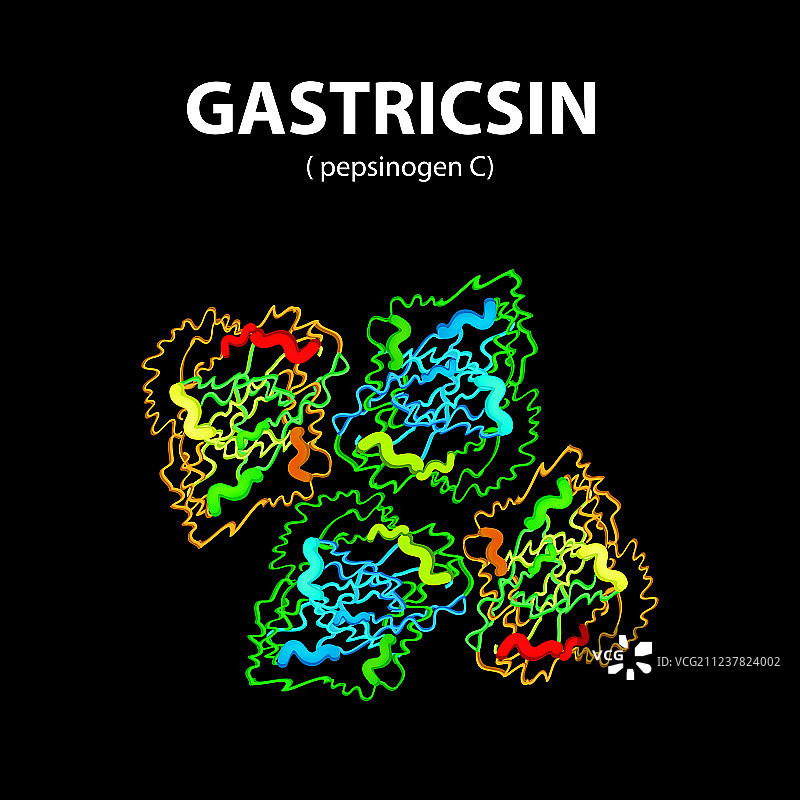 胃蛋白酶是一种分子式酶图片素材