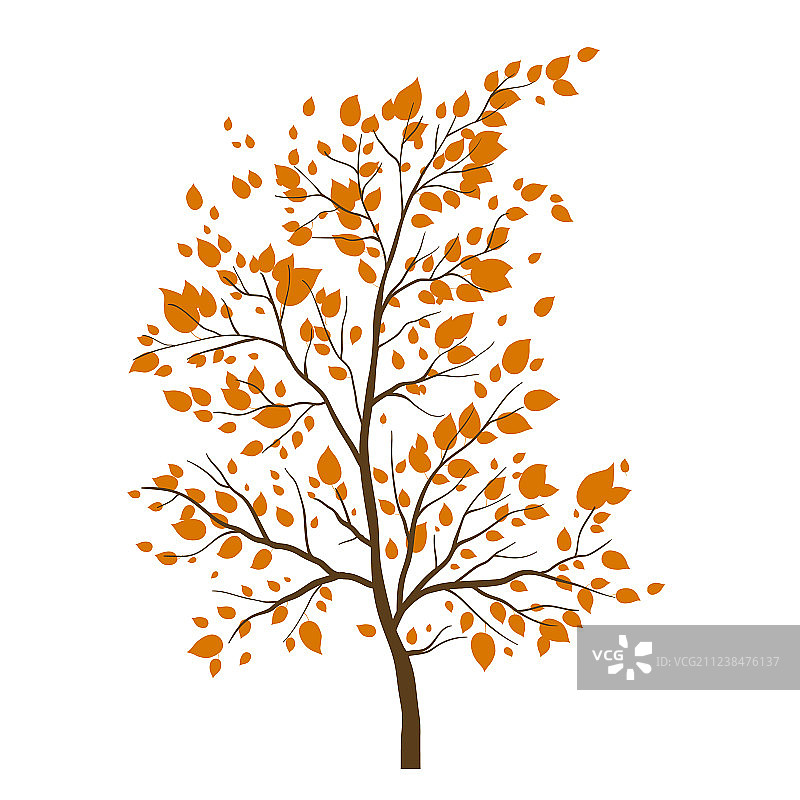 秋天的树图标图片素材