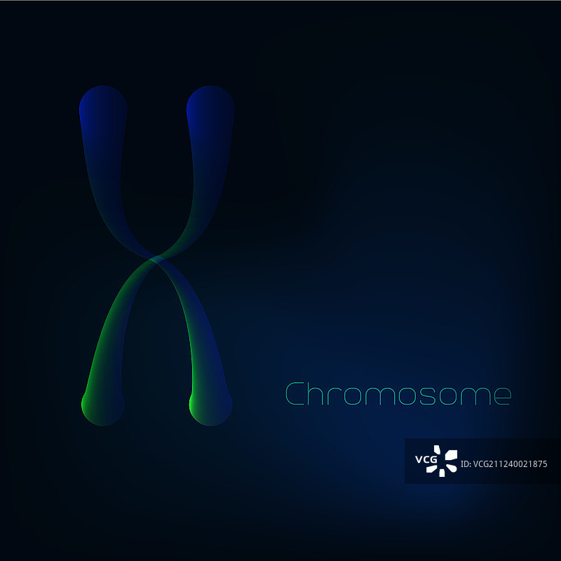 在深蓝色背景上发光的x染色体图片素材