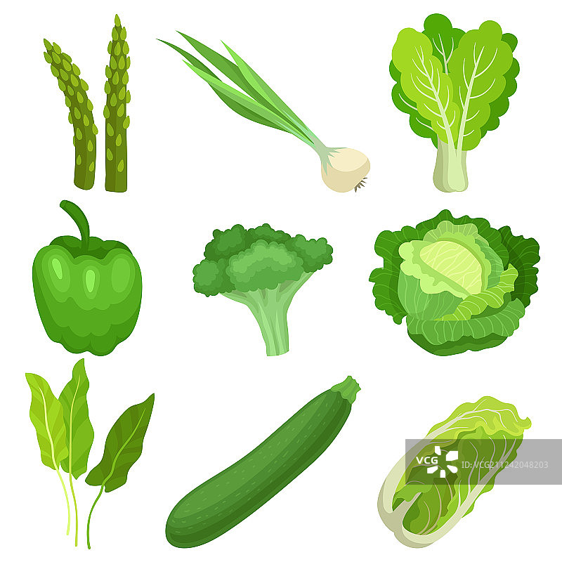 平套新鲜的绿色花园蔬菜图片素材