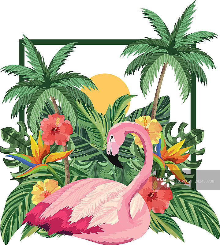 热带火烈鸟卡通图片素材