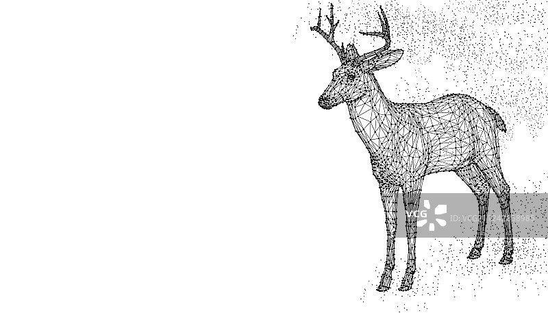 鹿头三维动物抽象框架多边形图片素材
