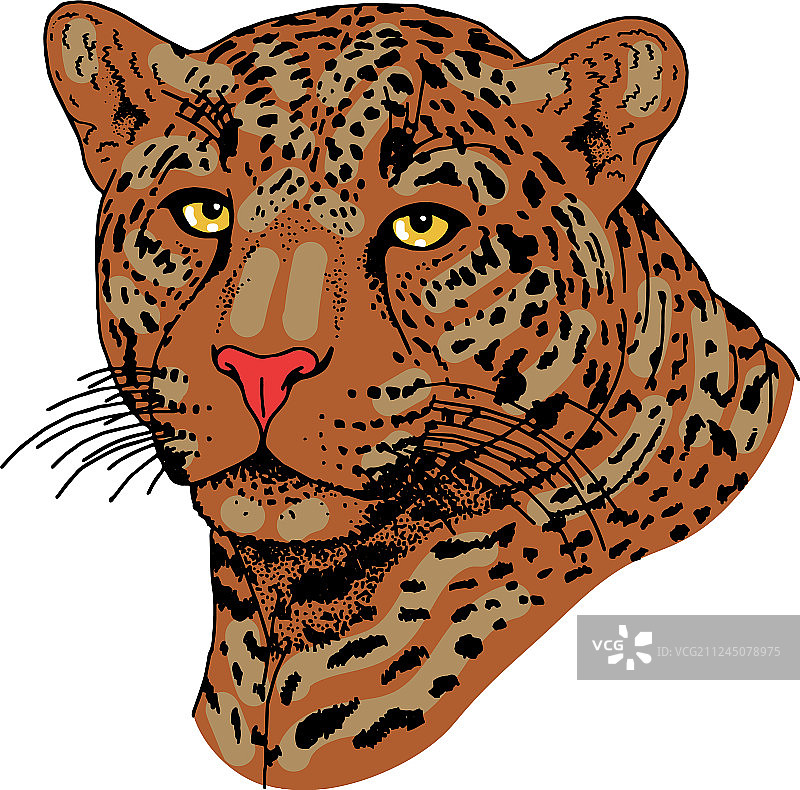 豹纹脸纹图片素材