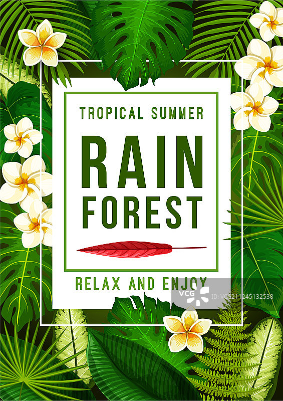 热带夏季横幅与异国情调的花卉框架图片素材