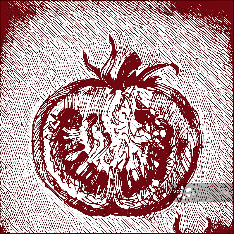 数字详细的番茄手绘图片素材
