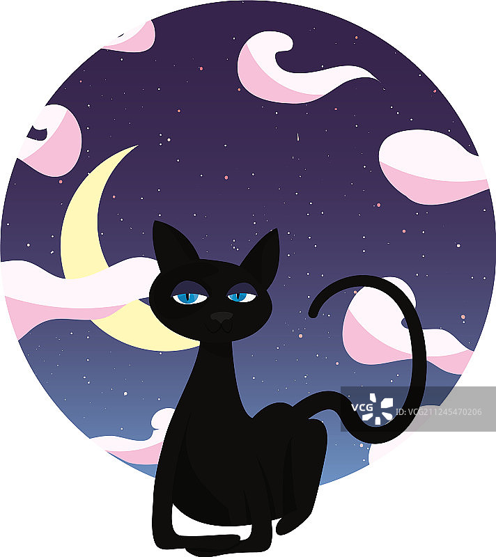 黑猫坐在晚上图片素材