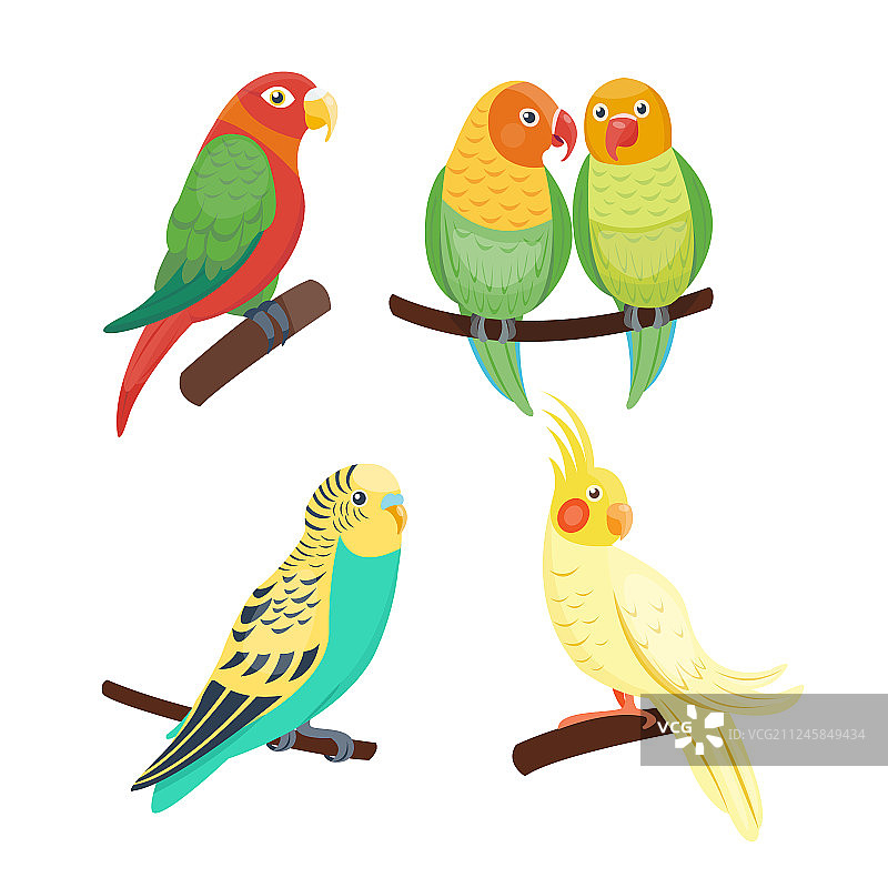 卡通热带鹦鹉野生动物鸟类图片素材