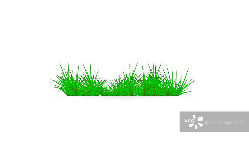 绿草在白色的背景林间空地上图片素材