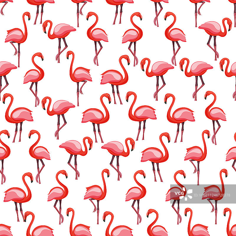 粉红色火烈鸟无缝图案上的白色背景图片素材