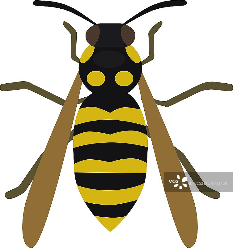 蜂蜜黄色蜜蜂飞虫图片素材
