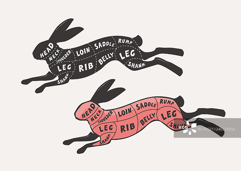 切肉的兔子或兔子海报屠夫图片素材