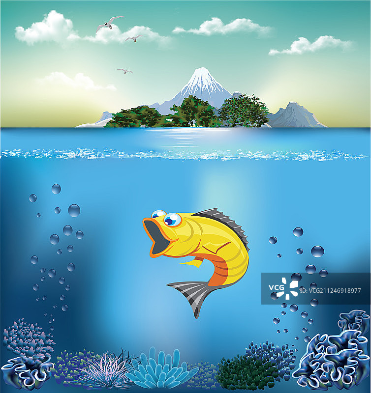 水下世界和岛屿水景观鱼图片素材