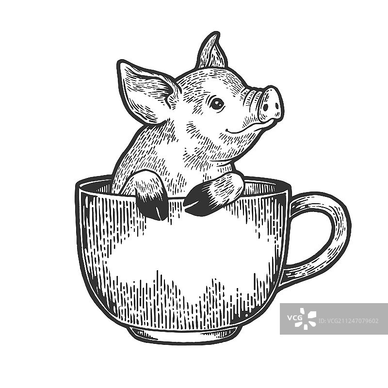 小猪在咖啡杯里素描雕刻图片素材