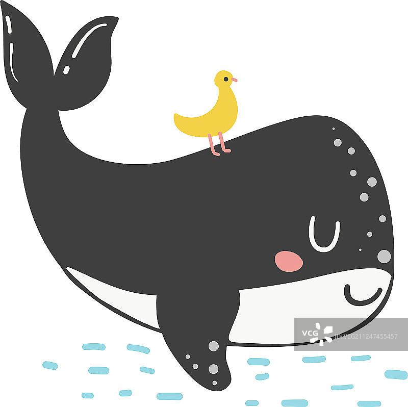 可爱的涂鸦鲸鱼图片素材