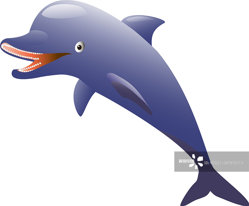 孤立的海豚在白色的背景图片素材