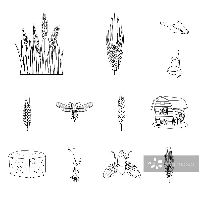 设计农业和农艺标志集图片素材