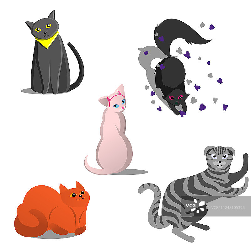 设置几个不同品种的猫好玩图片素材