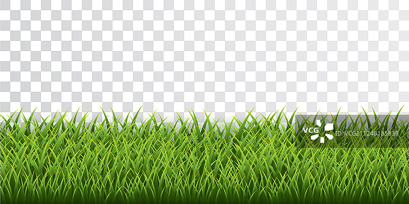 绿色的草边界设置在透明的背景图片素材