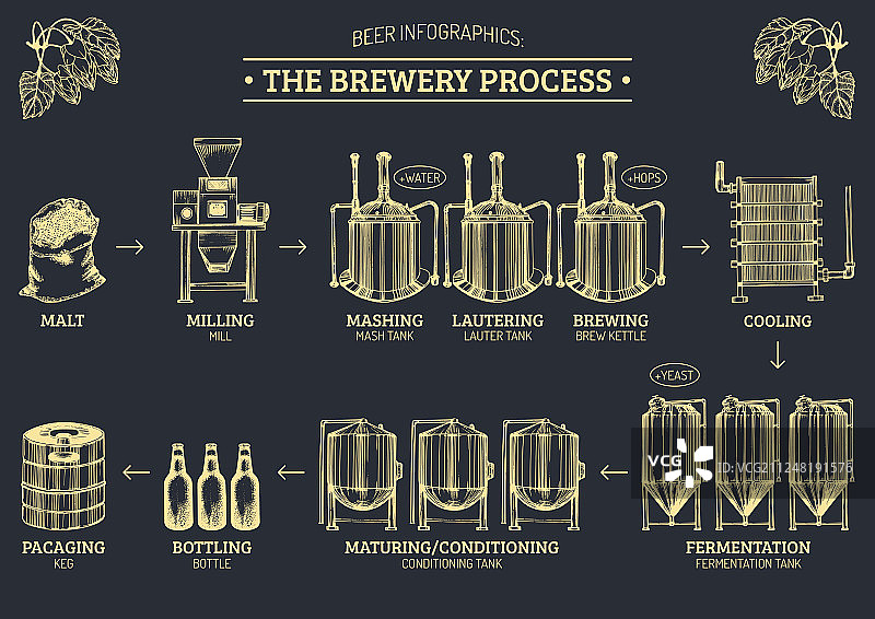 啤酒信息图表与图片素材