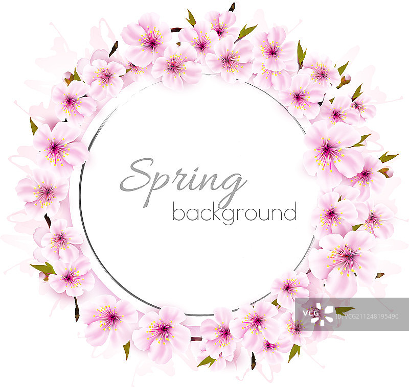 春天的背景是粉红色盛开的樱花图片素材