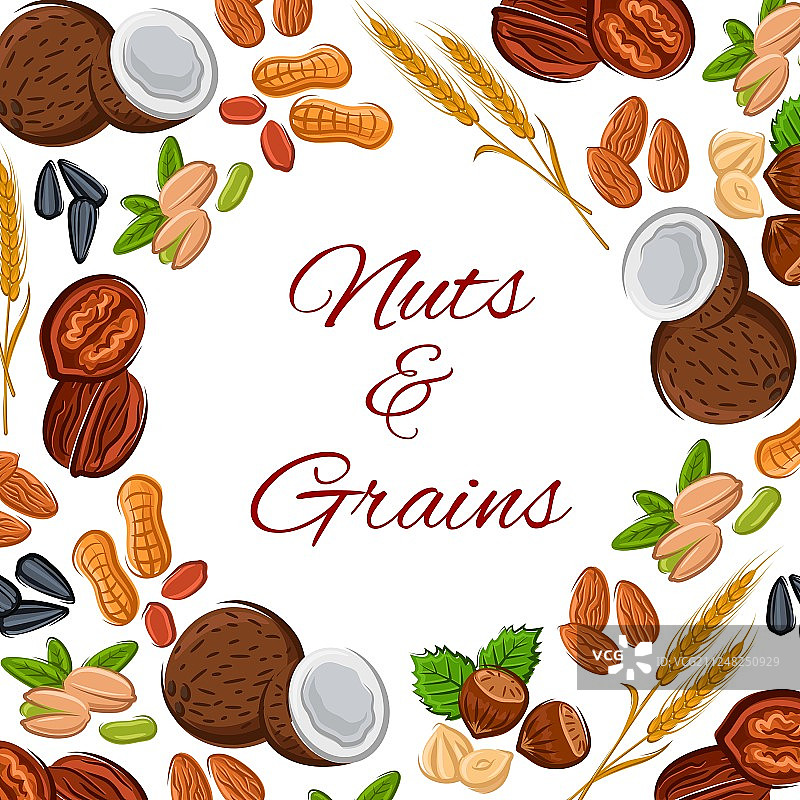 坚果、谷物和种子海报图片素材