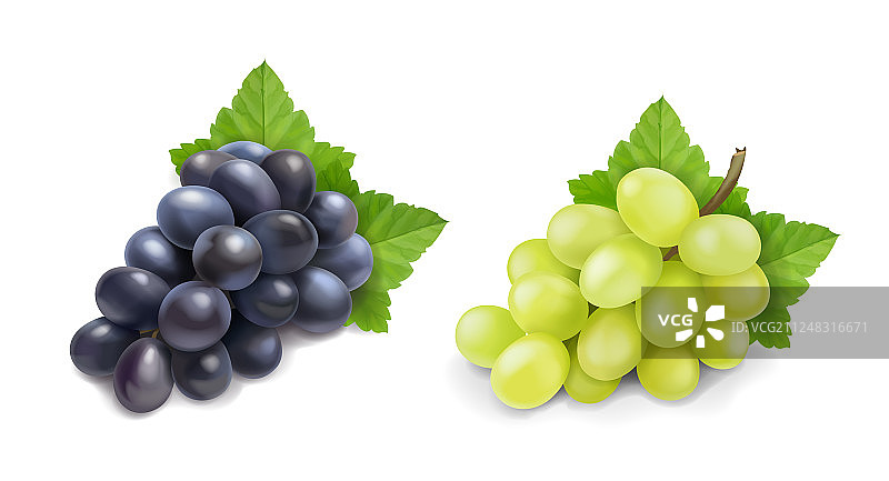红葡萄和白葡萄的鲜榨葡萄串图片素材