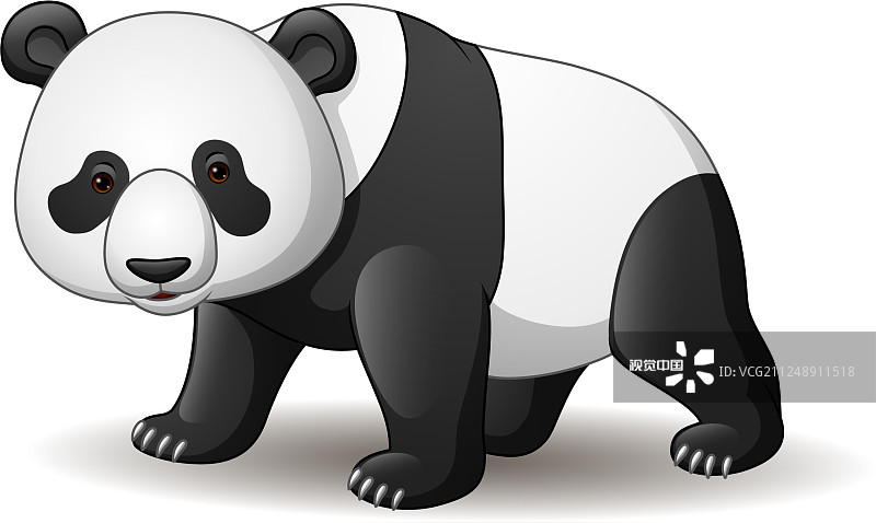 卡通熊猫孤立的白色背景图片素材